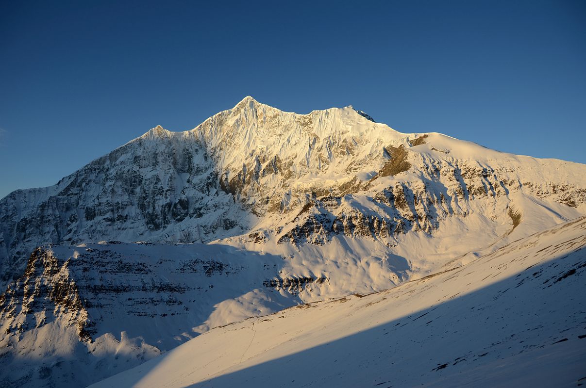 01 Tukuche Peak At Sunrise From Slope Climbing Dhampus Peak 